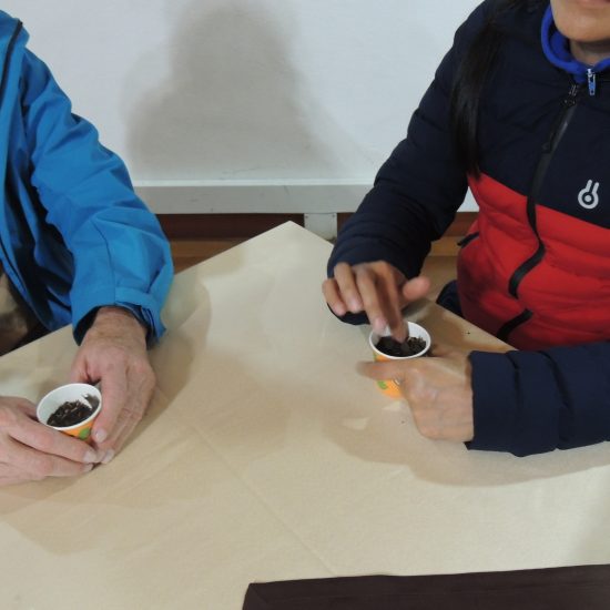 Fotografía manos del público en esperiencia Café a Ciegas.